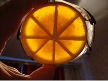 ������������ ��������