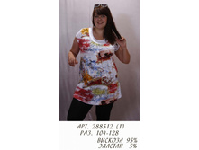 288512 (650-00) 1.jpg