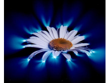 ������������� �������