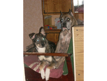 ��� � ���