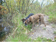 ����� ������� ����� �� ������ ����:)