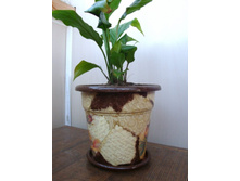 flower_2.jpg