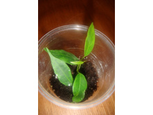 ����� ��������� ���������.JPG