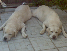 ���� � ����