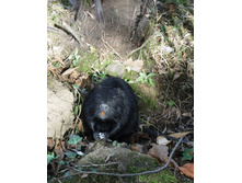 ������ � ��������