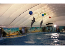 �����������. ����