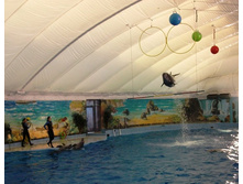 �����������. ����