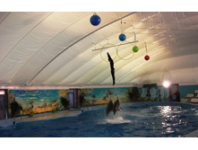 �����������. ����