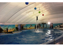 �����������. ����