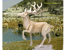 �031 ������� ������-����������� �����.jpg