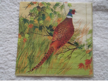 �� ���������