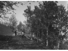 ��� ������.jpg