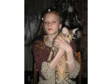 ���� ��������