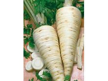 �������� ���� 4,50 ���..jpg