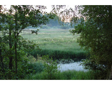 2009� ���� �����