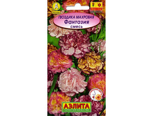 �������� �������� ��������