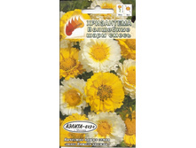 ���������� ��������� ����