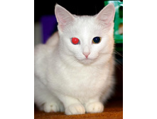 �������������