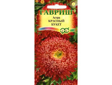 ����� ������� �����