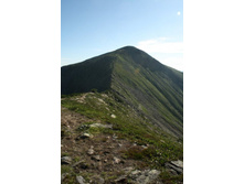 ��� ��������