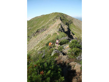 ���ߣ� �� ���������