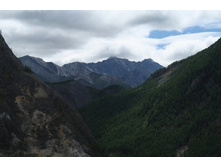 ����� - �����-������