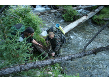 ������ ���� �����