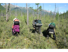 ����� �� ��������