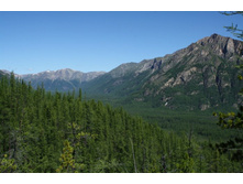 ������ ���������