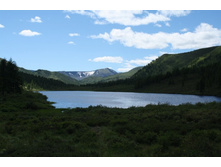 ����� �����-���