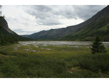 �������� ������ ������