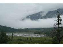 ���� � ������ ������