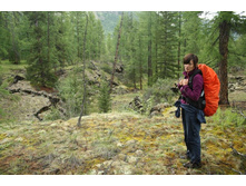 �������� � ����-����