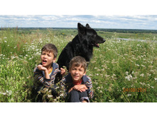 ����������� 142.jpg