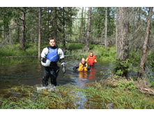 ����� ���������