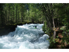 ���������, 2-� ����