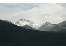 ������ ����