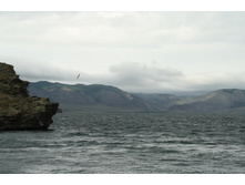 �� �����