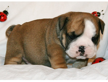 2 ����� 027.jpg