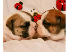 2 ����� 086.jpg