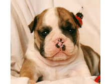 2 ����� 063.jpg