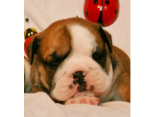 2 ����� 104.jpg