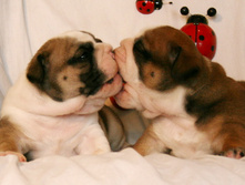 2 ����� 089.jpg