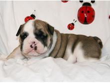 2 ����� 122.jpg