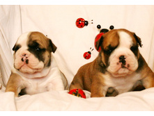 2 ����� 054.jpg