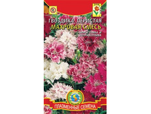 �������� �������� �������� �����