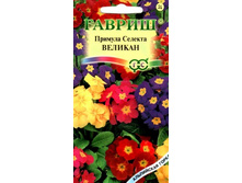 ������� �������