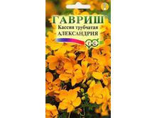 ������ �����������