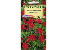 ������ ������.jpg