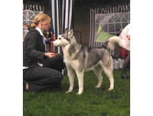 ���� "��� �������� �������" ���� ���������� �����